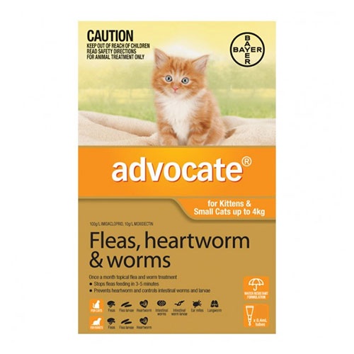 advocate-for-kittens-small-cats-up-to-4kg-1