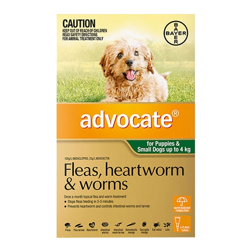 advocate-for-small-dogs-pups-to-4kg-green