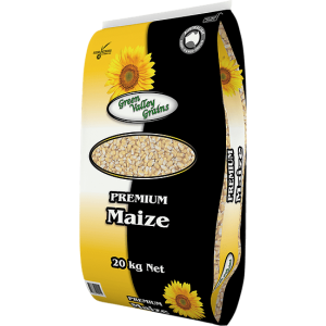 maize